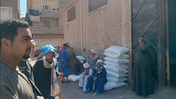 جانب من الفاعليات