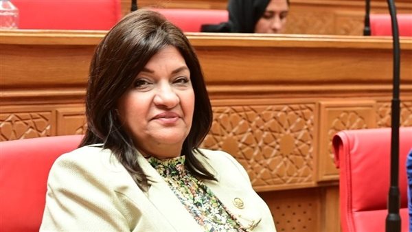  النائبة ايفلين متى