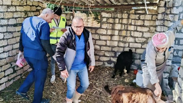 إحدى القوافل البيطرية