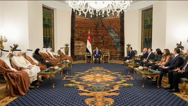 لقاء الرئيس السيسي