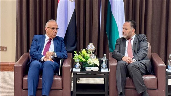 الدكتور هانى سويلم