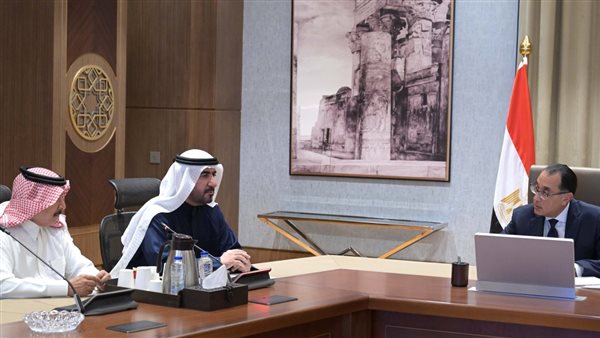 مدبولي خلال اللقاء