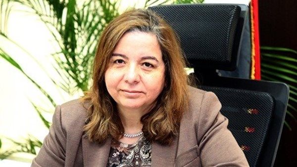 المهندسة مي عبد الحميد