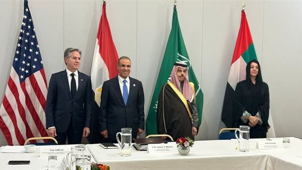 لقاء وزير الخارجية