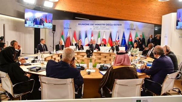 جانب من اللقاء 