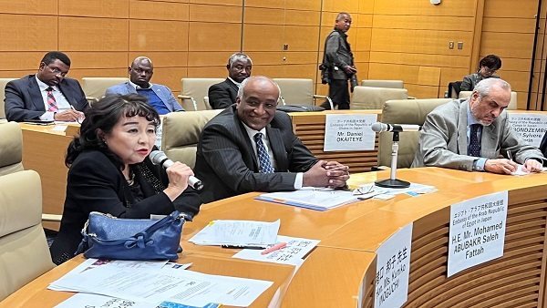 البرلمانية اليابانية