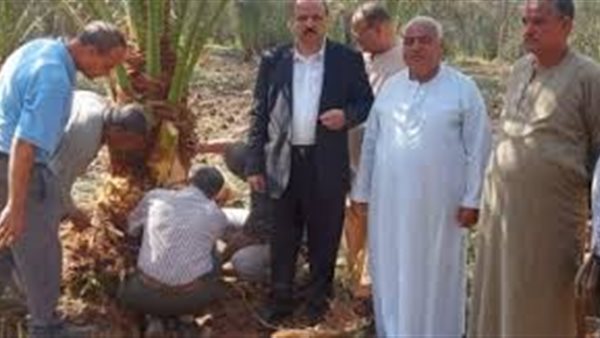   مبادرة لمكافحة