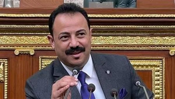 النائب عصام دياب