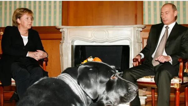 بوتين  وميركل 