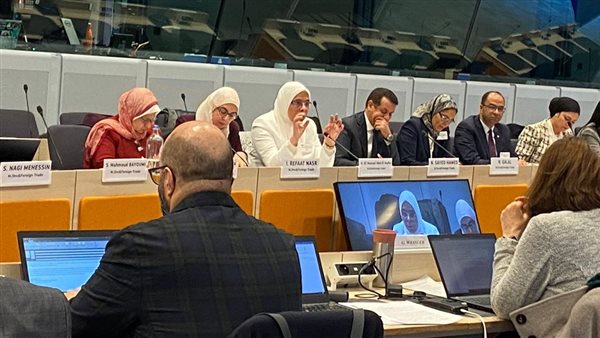 الوفد الحكومي المصري