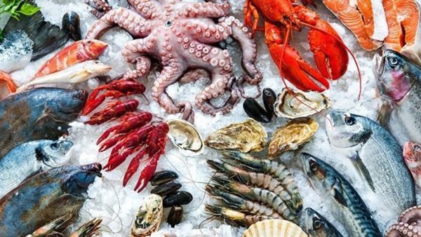 أسعار السمك