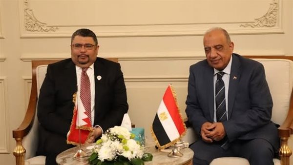 وزير الكهرباء 