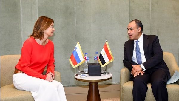 لقاء وزير الخارجية