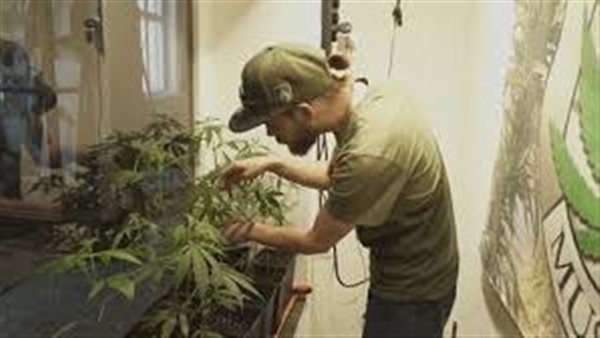 ولاية برلين