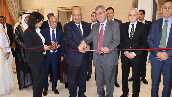 وزير الكهرباء