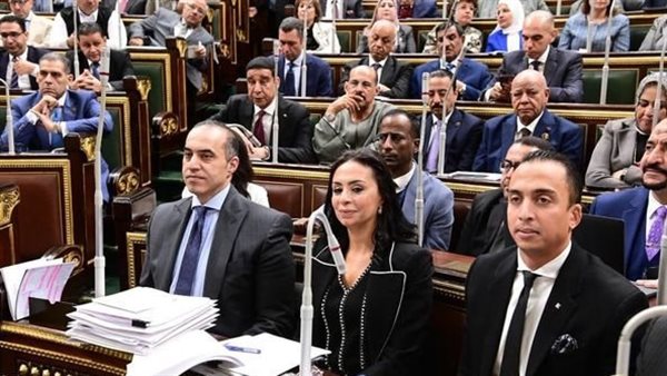 وزير الشئون النيابية