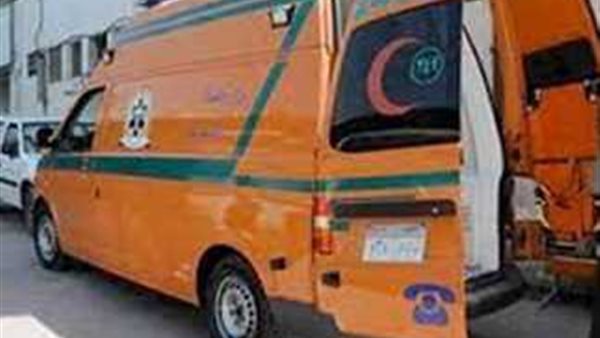 صورة توضيحية 