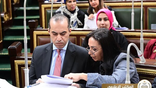  المستشار محمود فوزي،