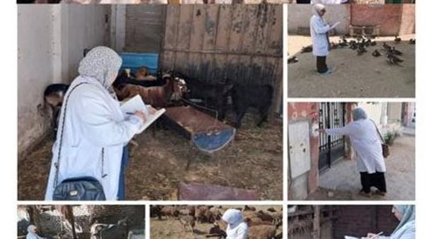 الهيئة العامة للخدمات