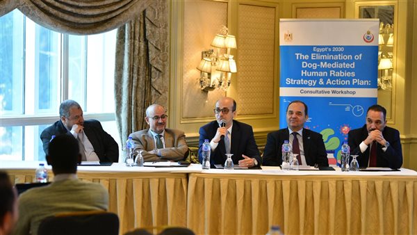 صورة من الحدث 