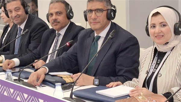 محافظ الجيزة 