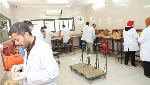 الموسم التصديري الجديد