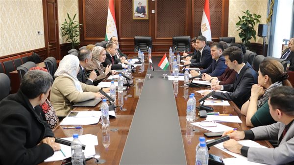  الدكتور محمد المنسي