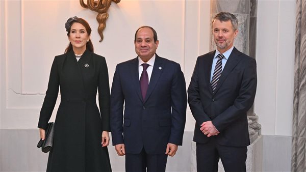 الرئيس السيسي 