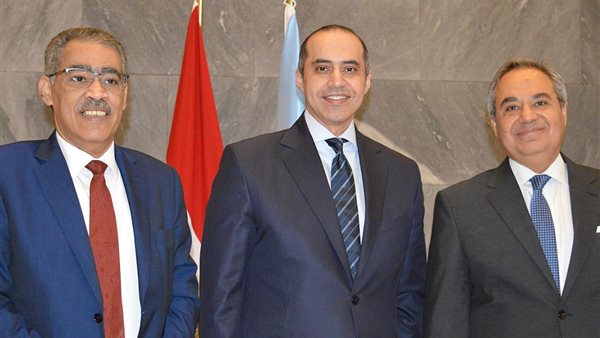 وزير الشئون النيابية