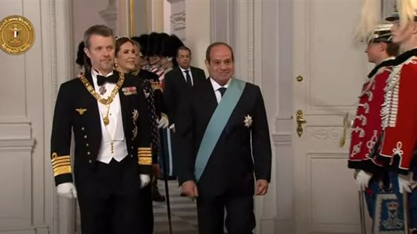 الرئيس السيسي وملك