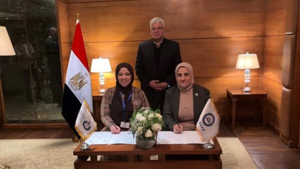 التعليم العالي