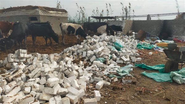 محافظ كفرالشيخ يتابع