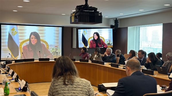 وزيرة التخطيط 