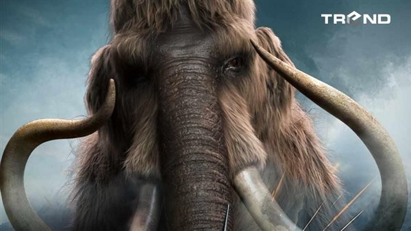 فيلم أوسكار عودة