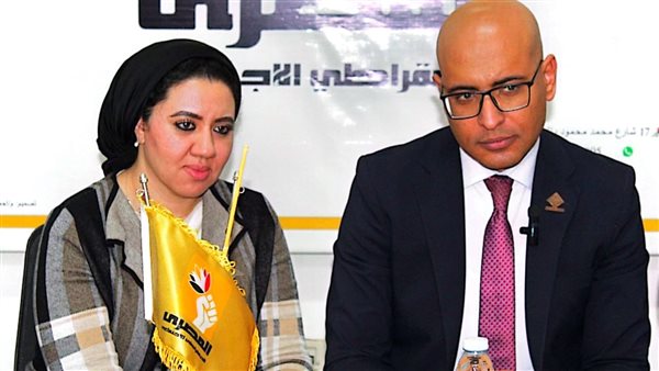 الحزب المصري الديمقراطي