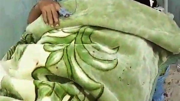 صورة توضيحية 