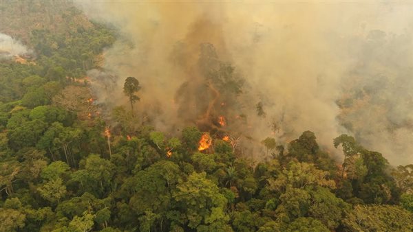 حرائق غابات الأمازون