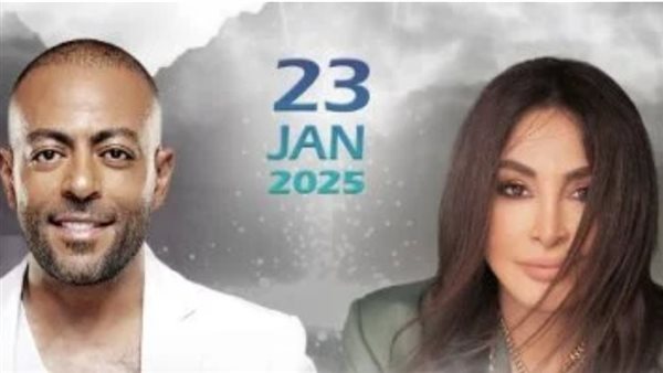 تامر عاشور وإليسا