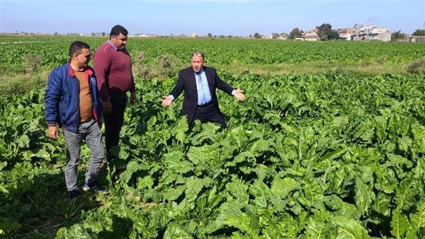 وكيل وزارة الزراعة