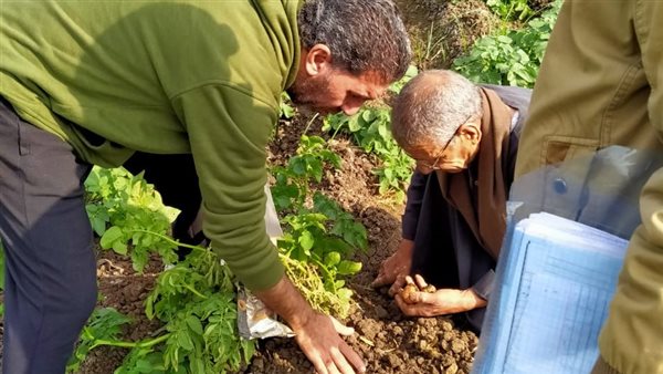 الإرشاد الزراعي