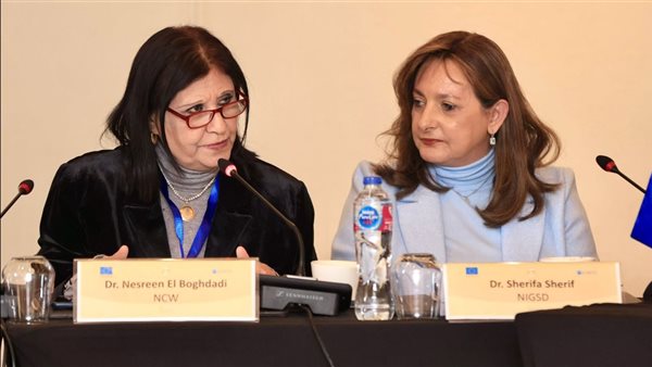 جانب من الفاعليات