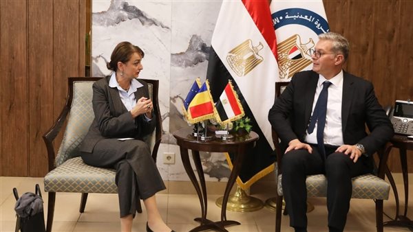 المهندس كريم بدوي