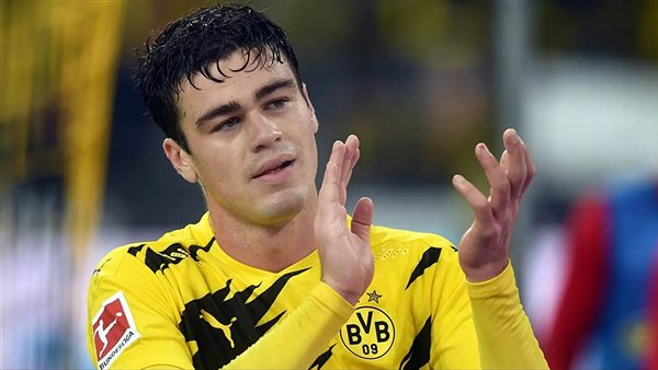 جيوفاني رينا