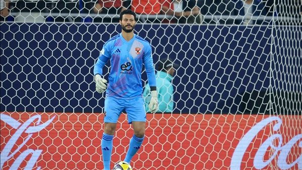 محمد الشناوي