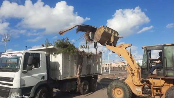 حملات إزالة 