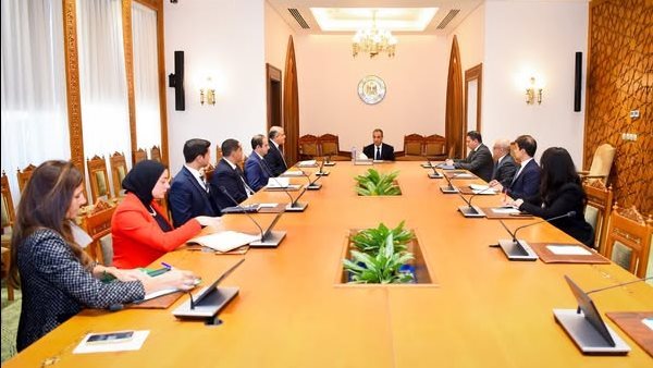 لقاء وزير الخارجية