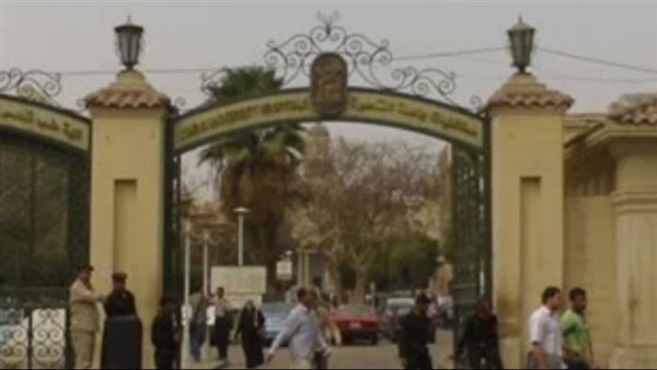 القصر العيني