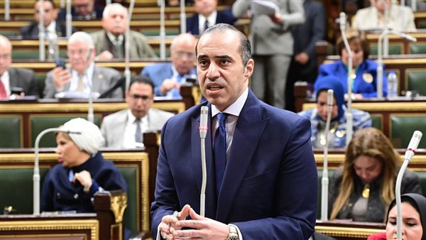 المستشار محمود فوزي