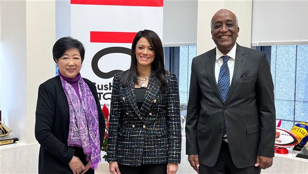 وزيرة التخطيط تلتقي