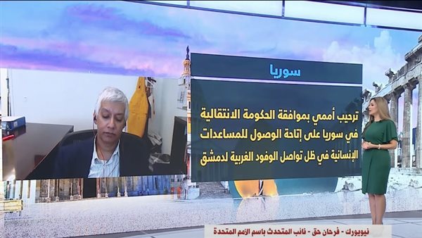 فرحان حق، نائب المتحدث